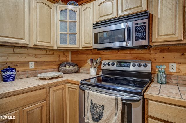 223 Black Bear Ridge, Roan Mountain, TN 37687