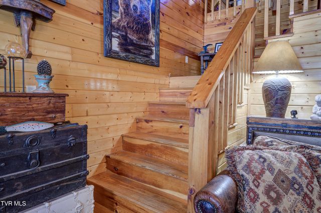 223 Black Bear Ridge, Roan Mountain, TN 37687