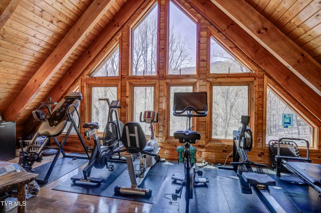 223 Black Bear Ridge, Roan Mountain, TN 37687