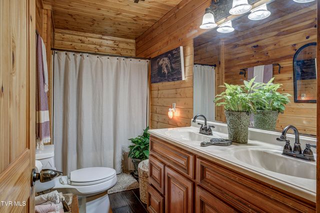 223 Black Bear Ridge, Roan Mountain, TN 37687