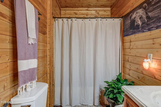 223 Black Bear Ridge, Roan Mountain, TN 37687