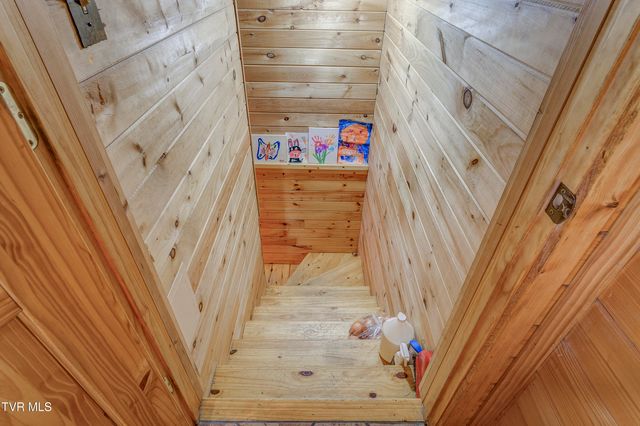 223 Black Bear Ridge, Roan Mountain, TN 37687
