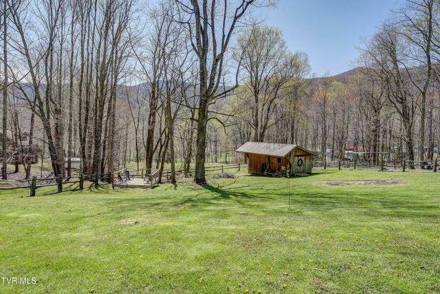 223 Black Bear Ridge, Roan Mountain, TN 37687