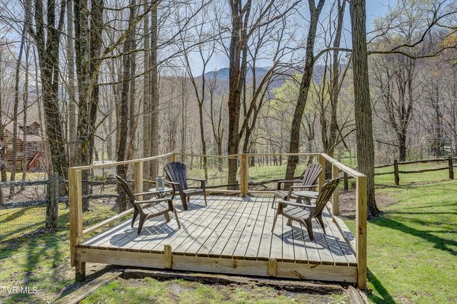 223 Black Bear Ridge, Roan Mountain, TN 37687