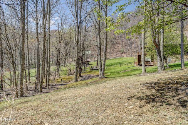 223 Black Bear Ridge, Roan Mountain, TN 37687