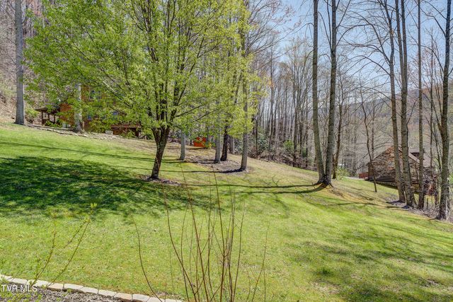 223 Black Bear Ridge, Roan Mountain, TN 37687