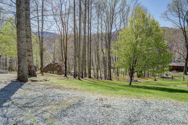223 Black Bear Ridge, Roan Mountain, TN 37687