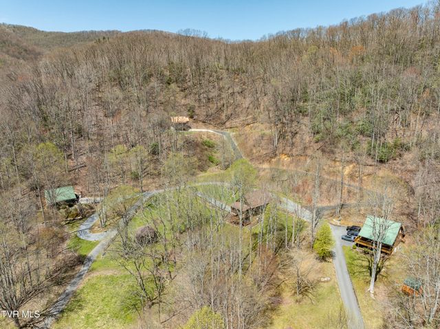 223 Black Bear Ridge, Roan Mountain, TN 37687