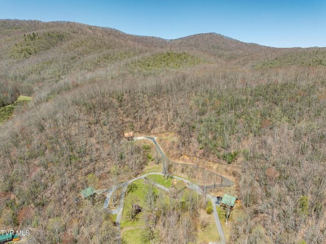 223 Black Bear Ridge, Roan Mountain, TN 37687
