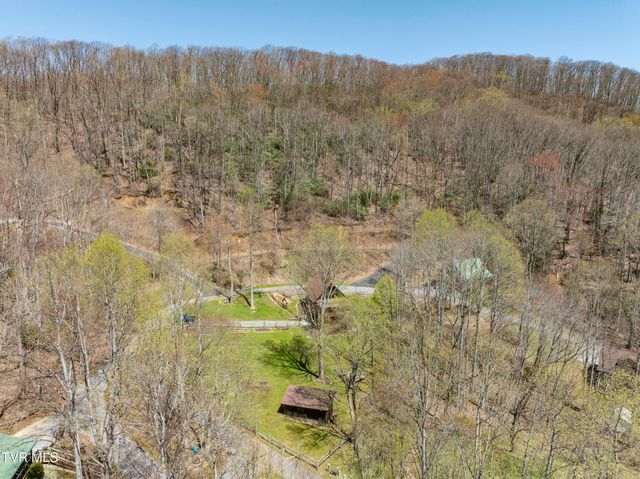 223 Black Bear Ridge, Roan Mountain, TN 37687