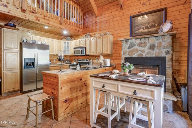 223 Black Bear Ridge, Roan Mountain, TN 37687