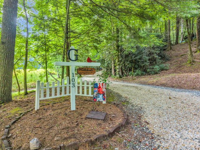 103 Audia Way Drive, Zirconia, NC 28790