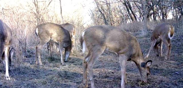 00000 Hatchell Road, Tonganoxie, KS 66086