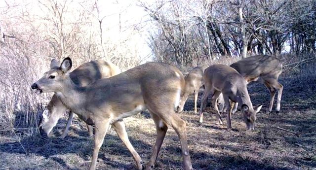 00000 Hatchell Road, Tonganoxie, KS 66086