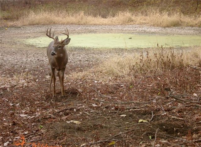 00000 Hatchell Road, Tonganoxie, KS 66086