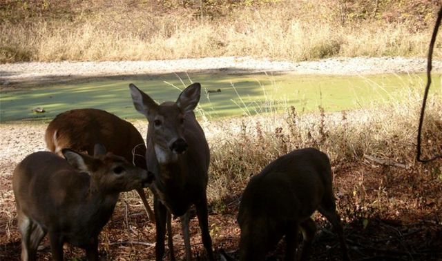 00000 Hatchell Road, Tonganoxie, KS 66086