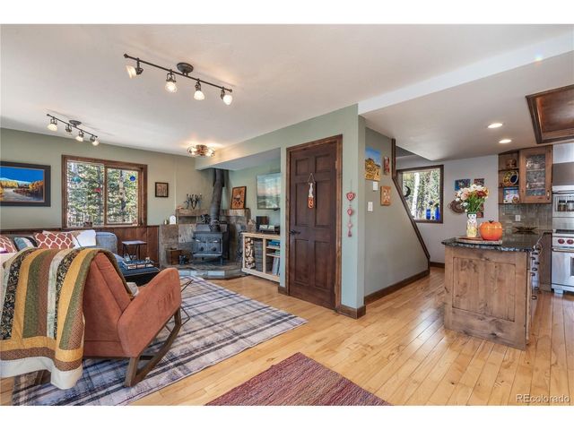 495 Edgewood Rd, Alma, CO 80420