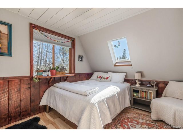 495 Edgewood Rd, Alma, CO 80420