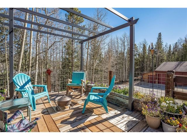 495 Edgewood Rd, Alma, CO 80420