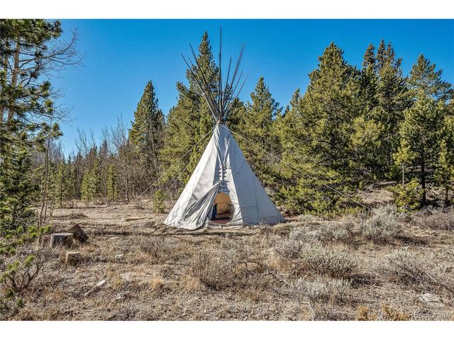 495 Edgewood Rd, Alma, CO 80420