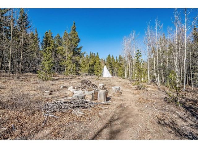 495 Edgewood Rd, Alma, CO 80420