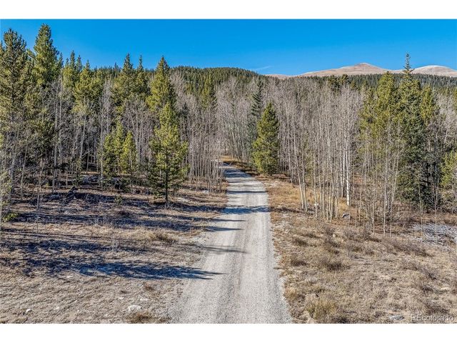 495 Edgewood Rd, Alma, CO 80420