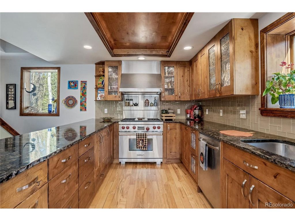 495 Edgewood Rd, Alma, CO 80420