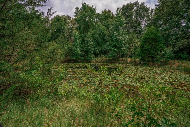 14266 Timberidge Lane, Winona, TX 75792