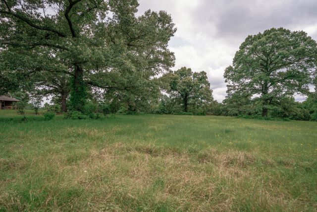 14266 Timberidge Lane, Winona, TX 75792