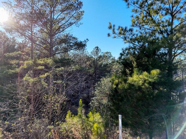 Lot 39 Pinehurst, Blairsville, GA 30512