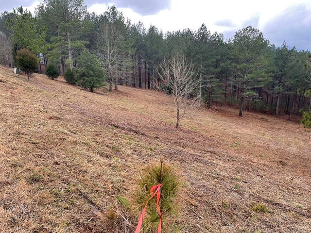 Lot 39 Pinehurst, Blairsville, GA 30512