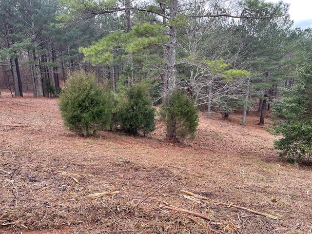 Lot 39 Pinehurst, Blairsville, GA 30512