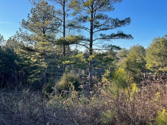 Lot 39 Pinehurst, Blairsville, GA 30512