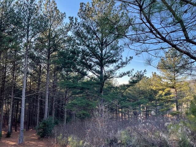 Lot 39 Pinehurst, Blairsville, GA 30512