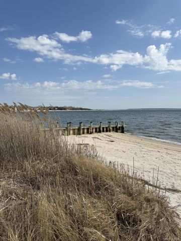 55 Leafy Way, Aquebogue, NY 11931