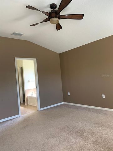 11355 FLORA SPRINGS DRIVE, Riverview, FL 33579