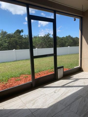 11355 FLORA SPRINGS DRIVE, Riverview, FL 33579