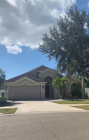 11355 FLORA SPRINGS DRIVE, Riverview, FL 33579