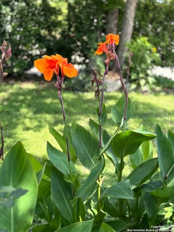 815 Edison, San Antonio, TX 78212