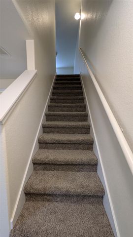 262 Trestle Tree, San Marcos, TX 78666