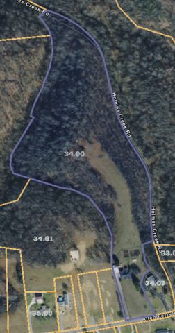 2309 Allen Ferry Rd, Smithville, TN 37166