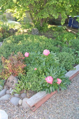 3011 Edgewood Drive, Medford, OR 97504