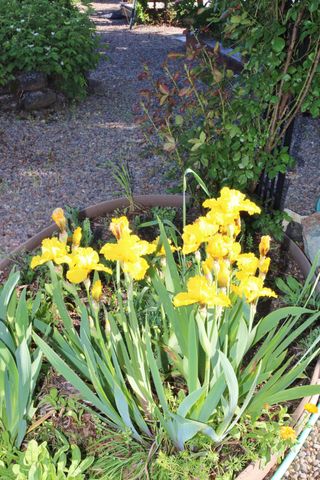 3011 Edgewood Drive, Medford, OR 97504