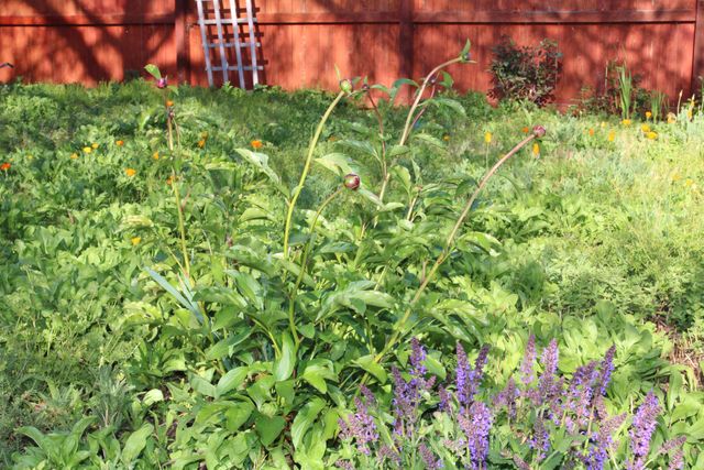 3011 Edgewood Drive, Medford, OR 97504