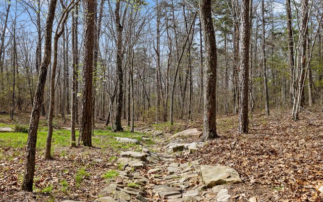 2821 Clear Brooks Drive, Signal Mountain, TN 37377
