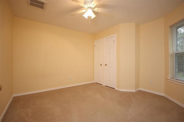 14 Delphinium Place, The Woodlands, TX 77382