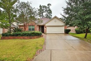 14 Delphinium Place, The Woodlands, TX 77382