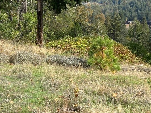 13690 Andover, Magalia, CA 95954