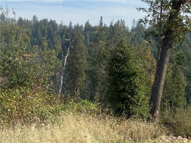 13690 Andover, Magalia, CA 95954