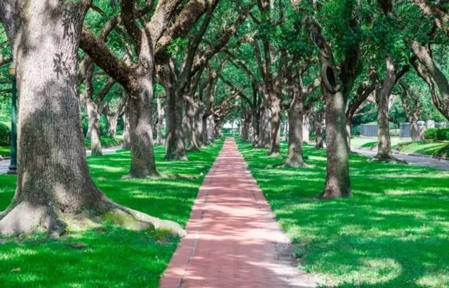 2038 Viking Drive, Houston, TX 77018